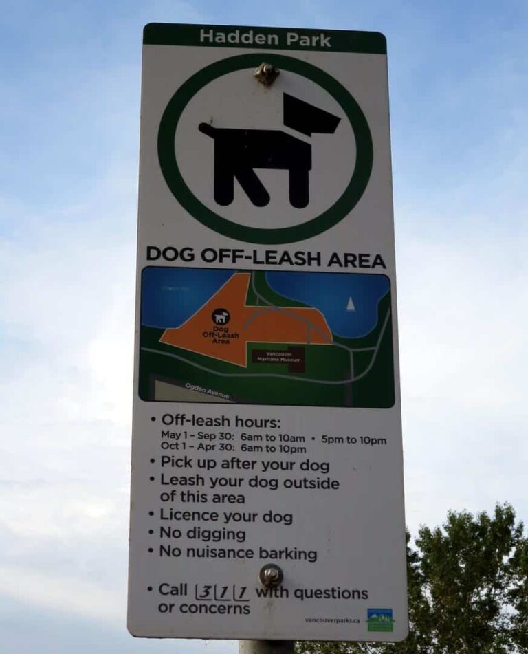 Hadden Park Dog Beach Vancouver 11 768x951