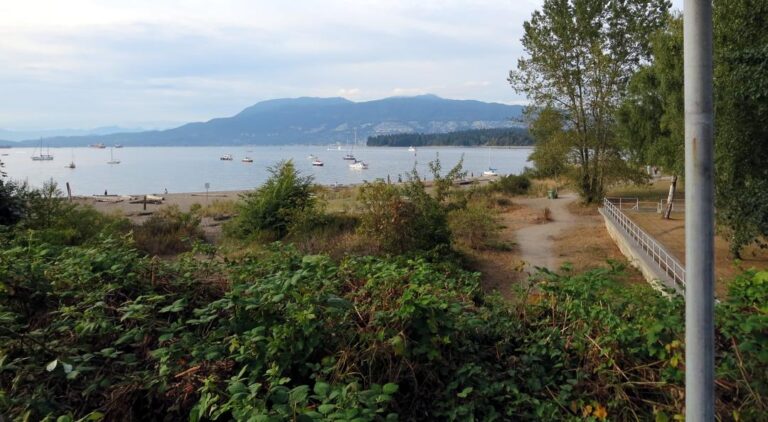 Hadden Park Dog Beach Vancouver 5 768x422