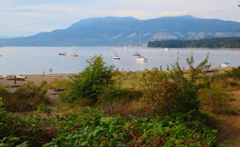 Hadden Park Dog Beach Vancouver 6 768x470