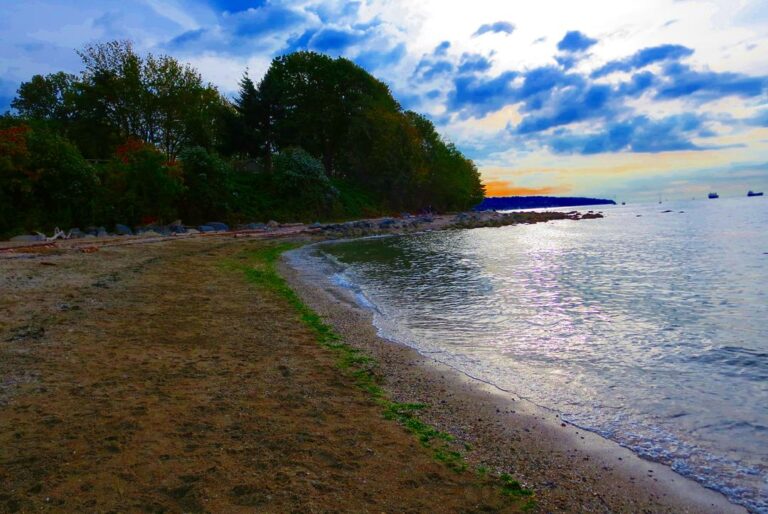 Hadden Park Dog Beach Vancouver 7 768x514