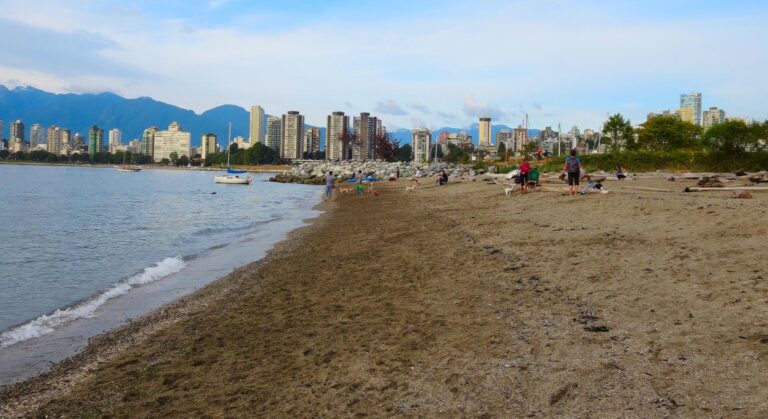 Hadden Park Dog Beach Vancouver 8 768x419