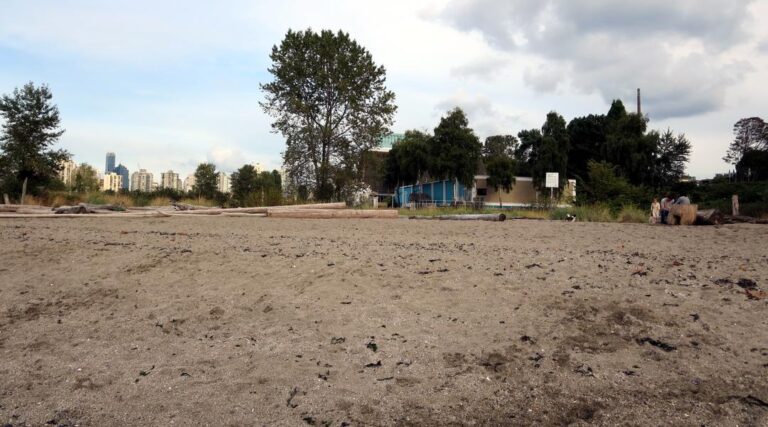 Hadden Park Dog Beach Vancouver 9 768x427