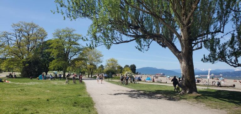 Jericho Beach on leash Park Vancouver BC 2 768x363