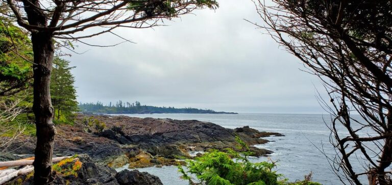Wild Pacific Trail Big Beach 6 768x363