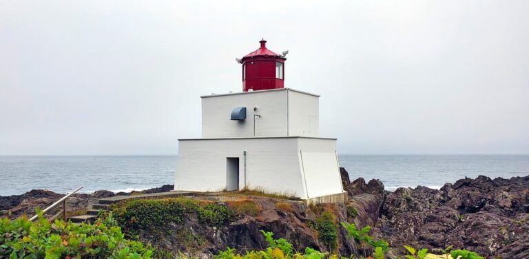 Wild Pacific Trail Lighthouse Loop 4 768x376