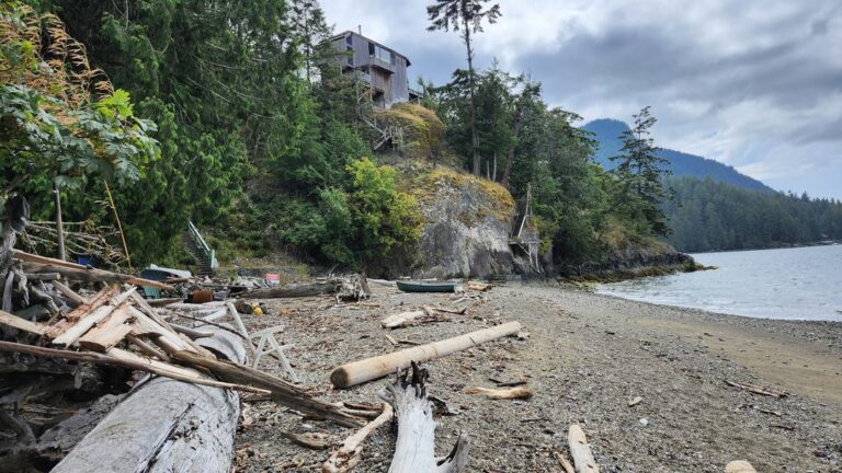 Woods Road Neighbourhood Beach 3 768x432