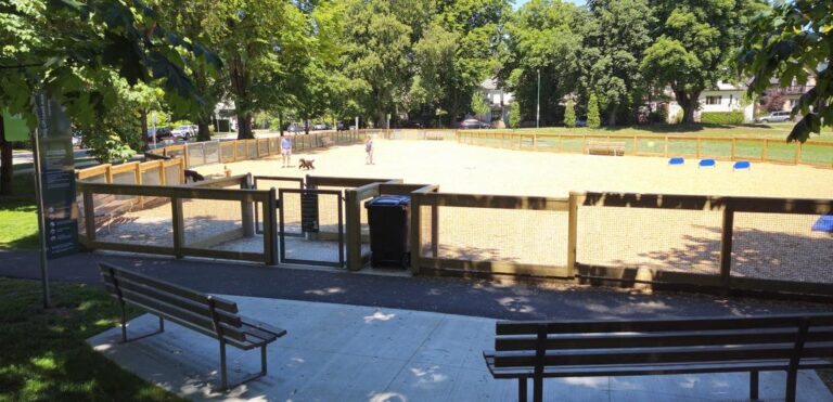 Heather Park off leash dog park Vancouver BC 3 768x371