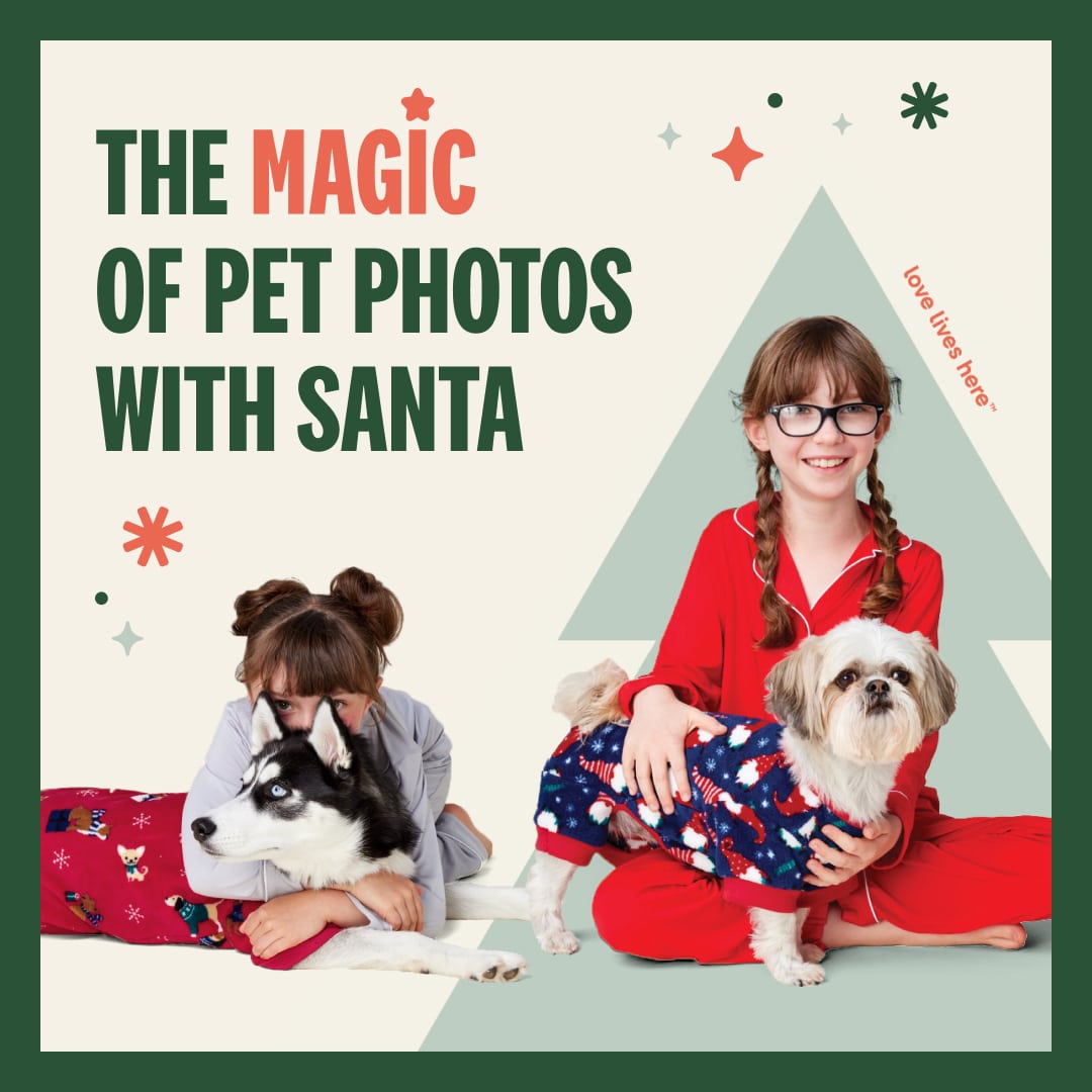 A picture featuring a girl with her dog in Christmas Pajama's for Bosley's in Port Alberni Dog Santa Photo Event