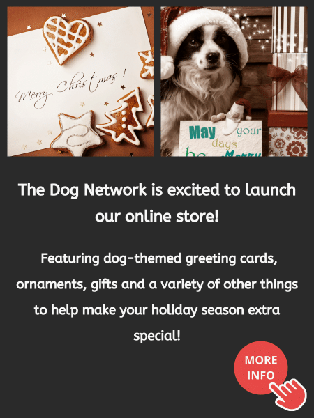 The Dog Network Store Launch Advertisement