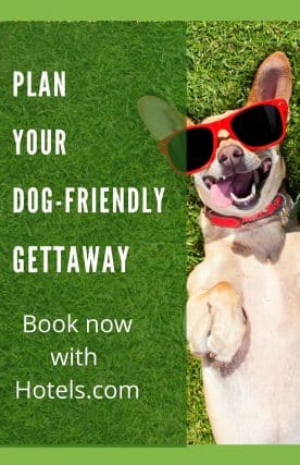 DN_Advert_Portrait_Hotels_Plan_Your_Dog-Friendly_Gettaway