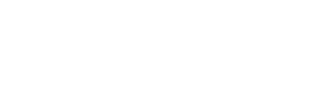 The Dog Network Logo