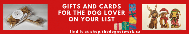 The Dog Network Store - Header Ad (large)